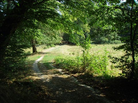 Foto 48